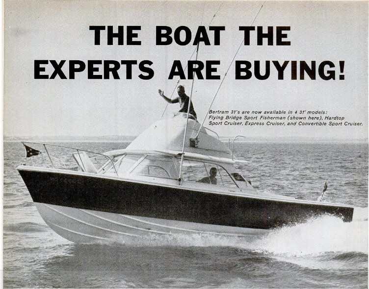 Bertram Flybridge Cruiser — vintage photo
